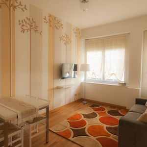Appartement met een Slaapkamer